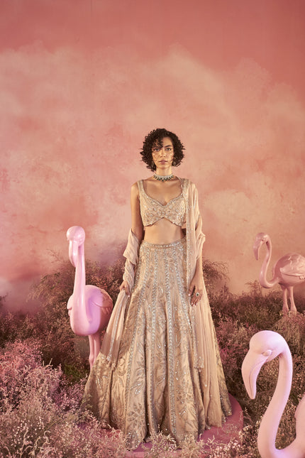 Serina Lehenga Set