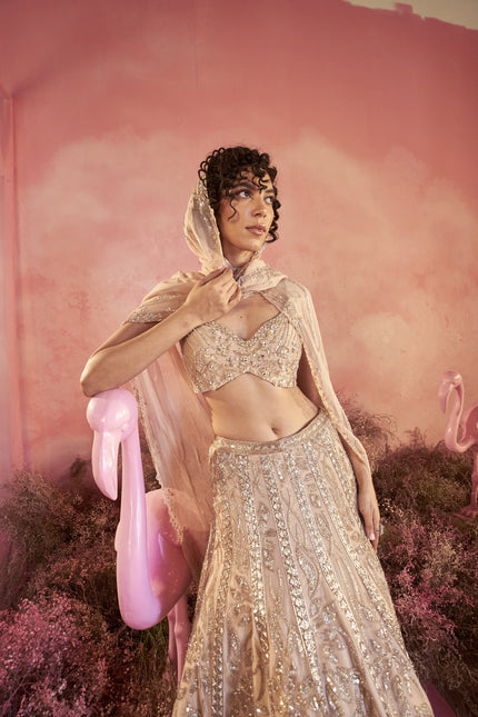 Serina Lehenga Set