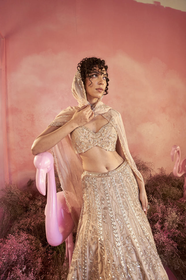 Serina Lehenga Set