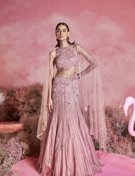 Collection image for: Afroza