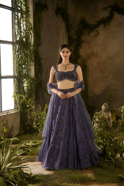 ENCHANTED CHARM LEHENGA SET