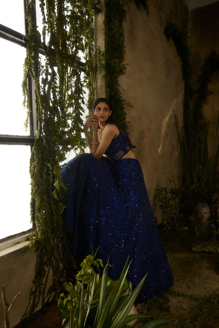 MOONLIT LEHENGA SET