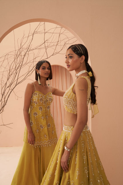 blaze lehenga set