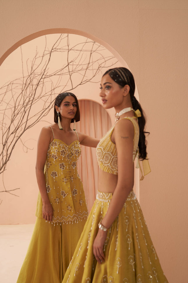 blaze lehenga set