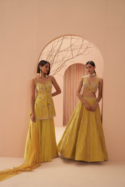 blaze lehenga set