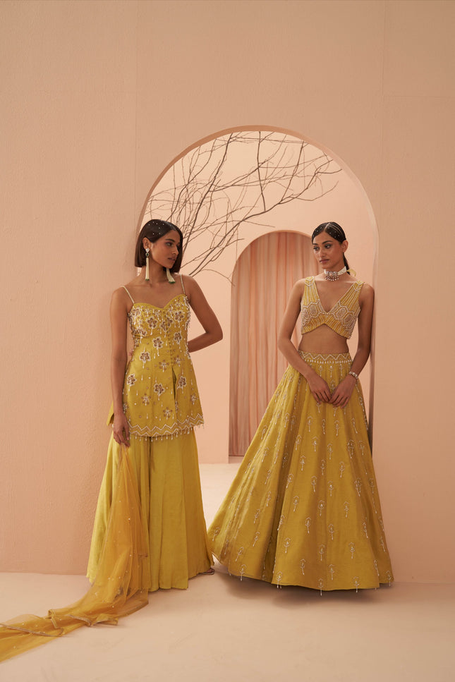 blaze lehenga set