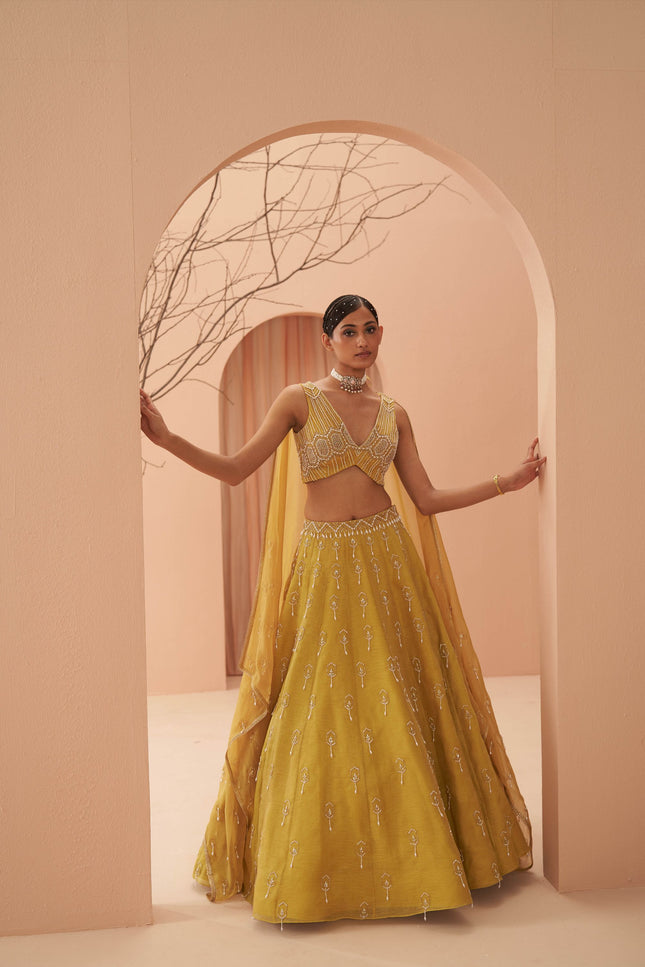 blaze lehenga set