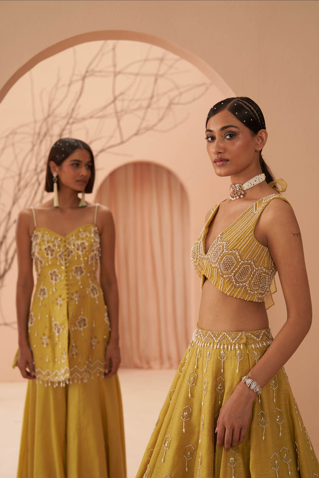 blaze lehenga set