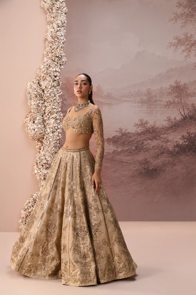 MESH LEHENGA SET