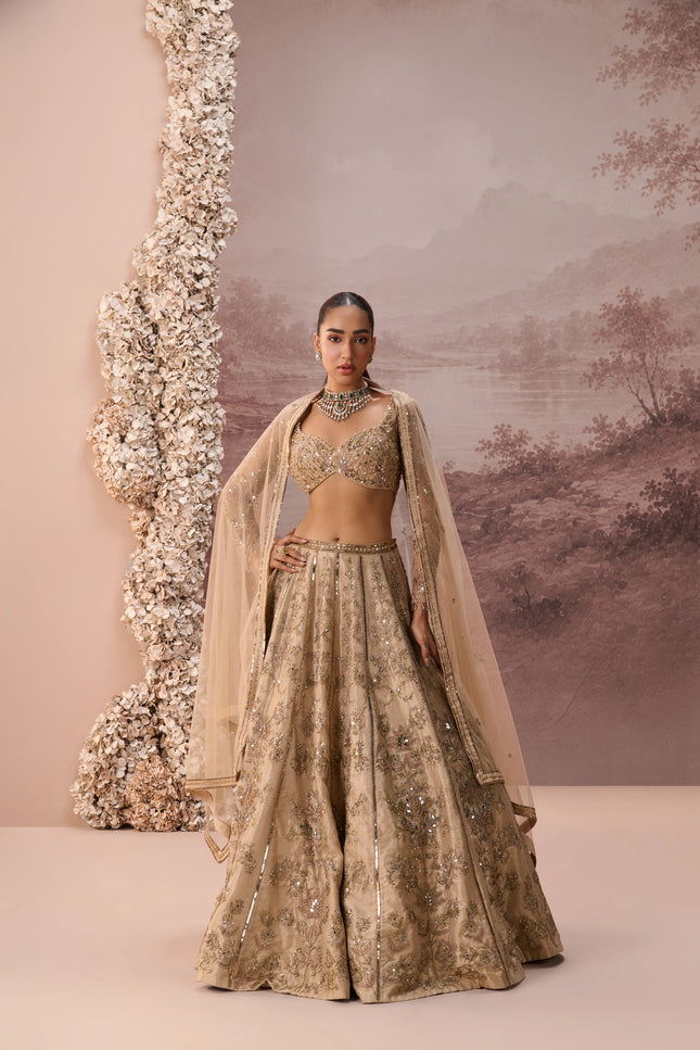 MESH LEHENGA SET