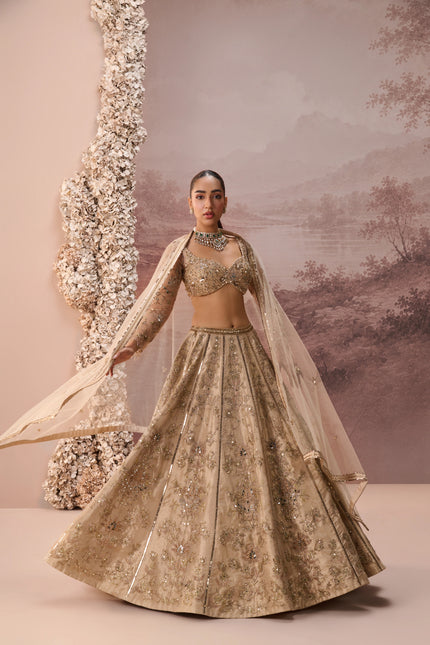 MESH LEHENGA SET