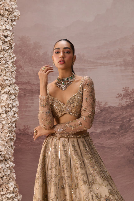 MESH LEHENGA SET