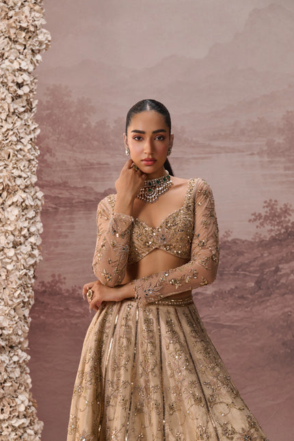 MESH LEHENGA SET