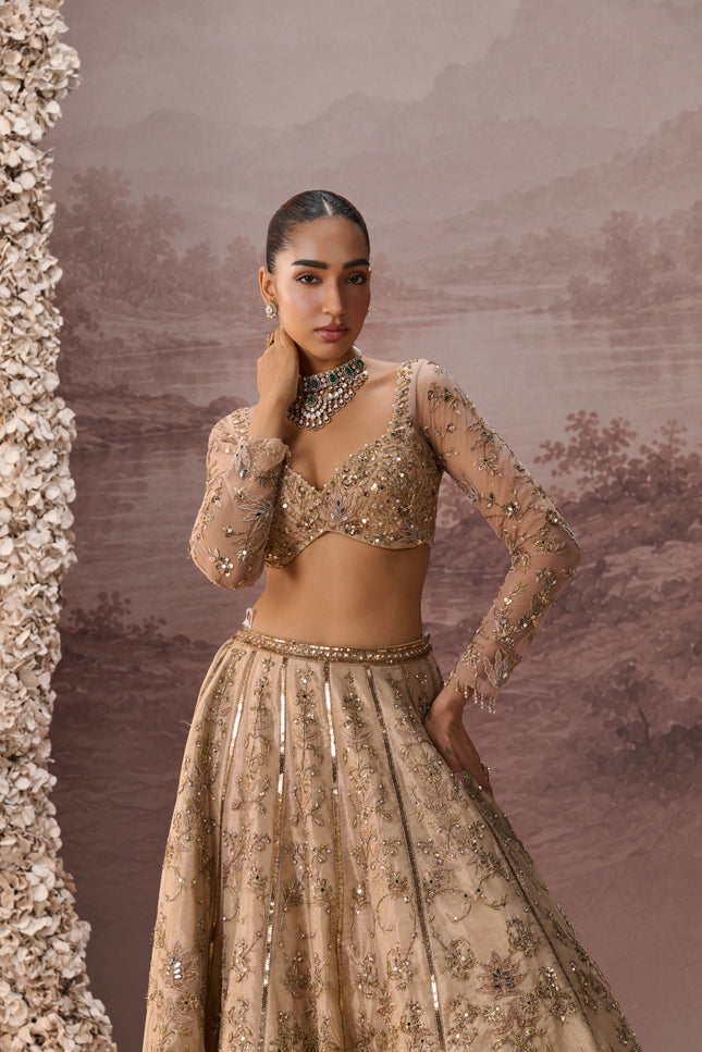 MESH LEHENGA SET