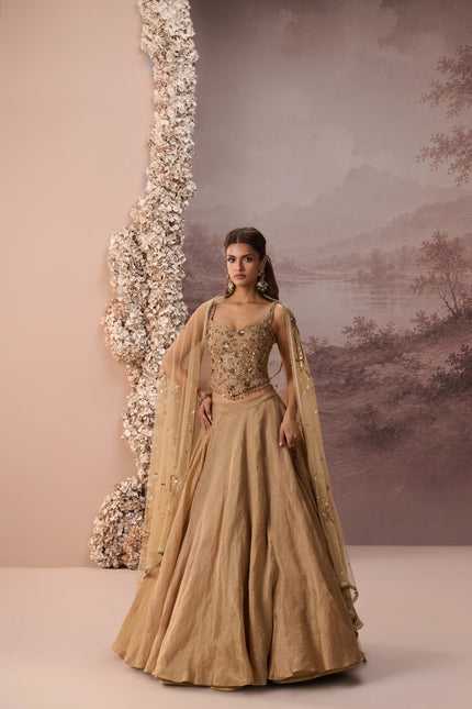 TABEER LEHENGA SET