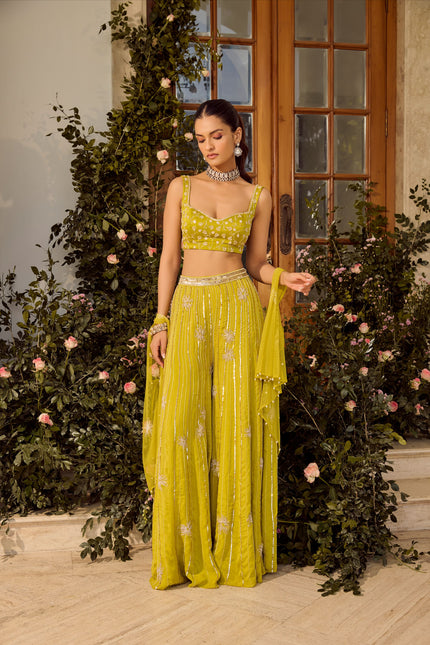 Lime Zest Pant Set