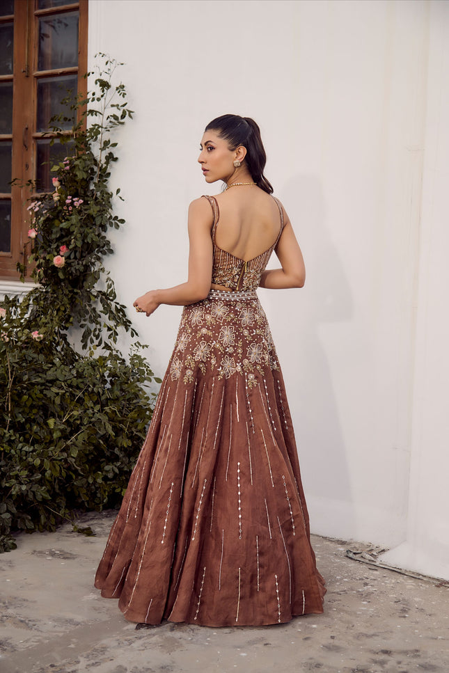 Dust Allure Lehenga Set
