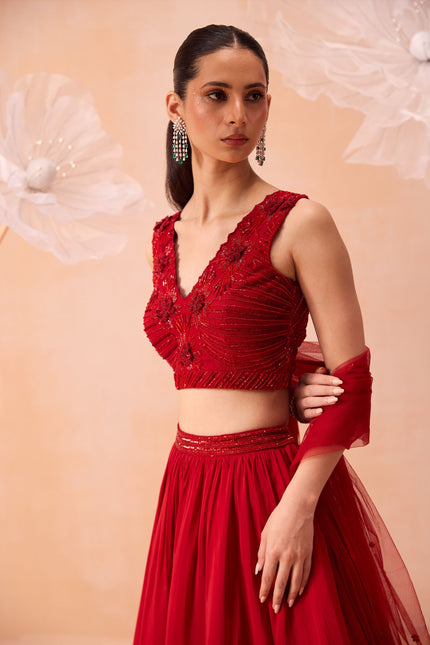 Scalet Dream Lehenga Set