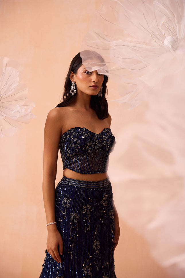 Stardust Lehenga Set