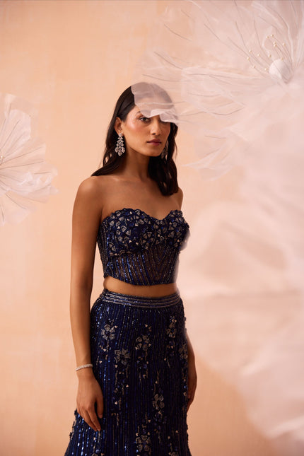 Stardust Lehenga Set