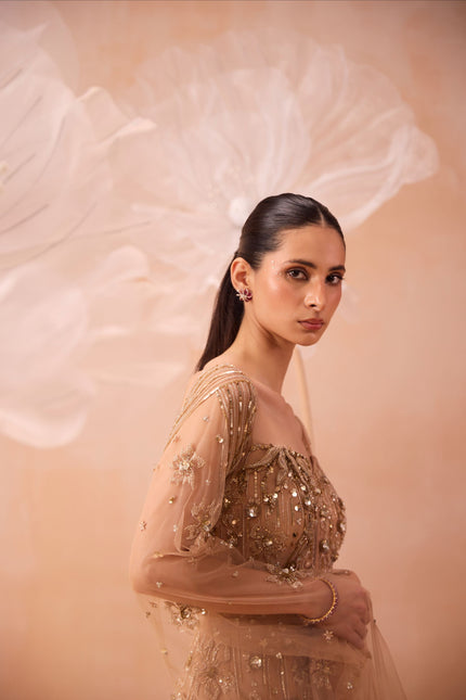 Gleaming Gown