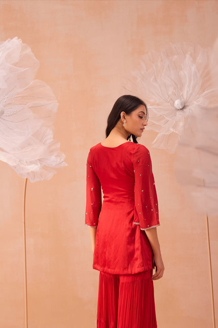 Rouge Sharara Set