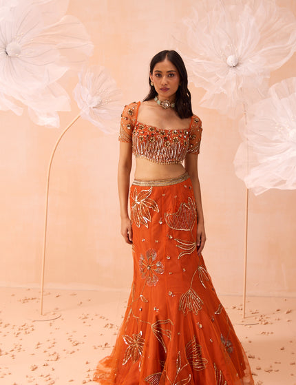 Collection image for: NOOR