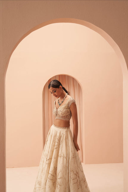 cleopatra lehenga