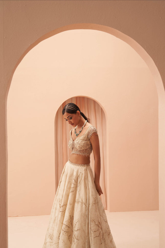 cleopatra lehenga