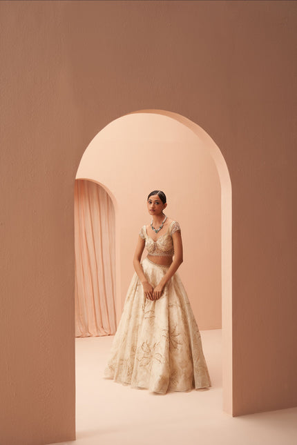 cleopatra lehenga
