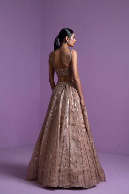 Caramel blaze lehenga set
