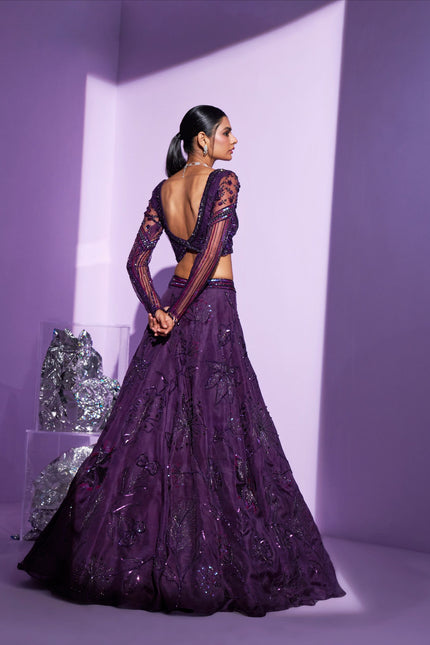 Stellar lehenga set